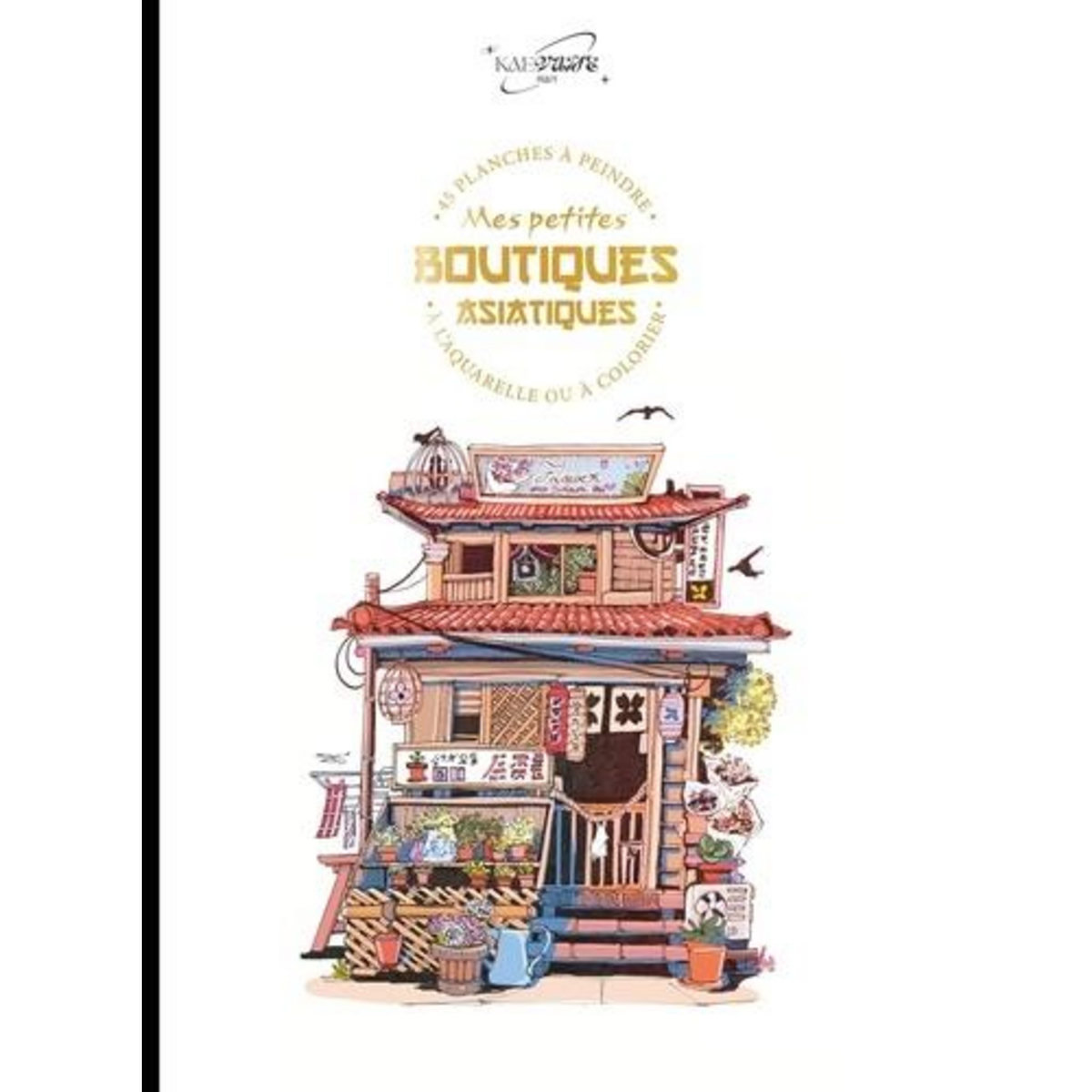 MES PETITES BOUTIQUES JAPONAISES. 45 PLANCHES A PEINDRE A L'AQUARELLE OU A COLORIER, Kaevane