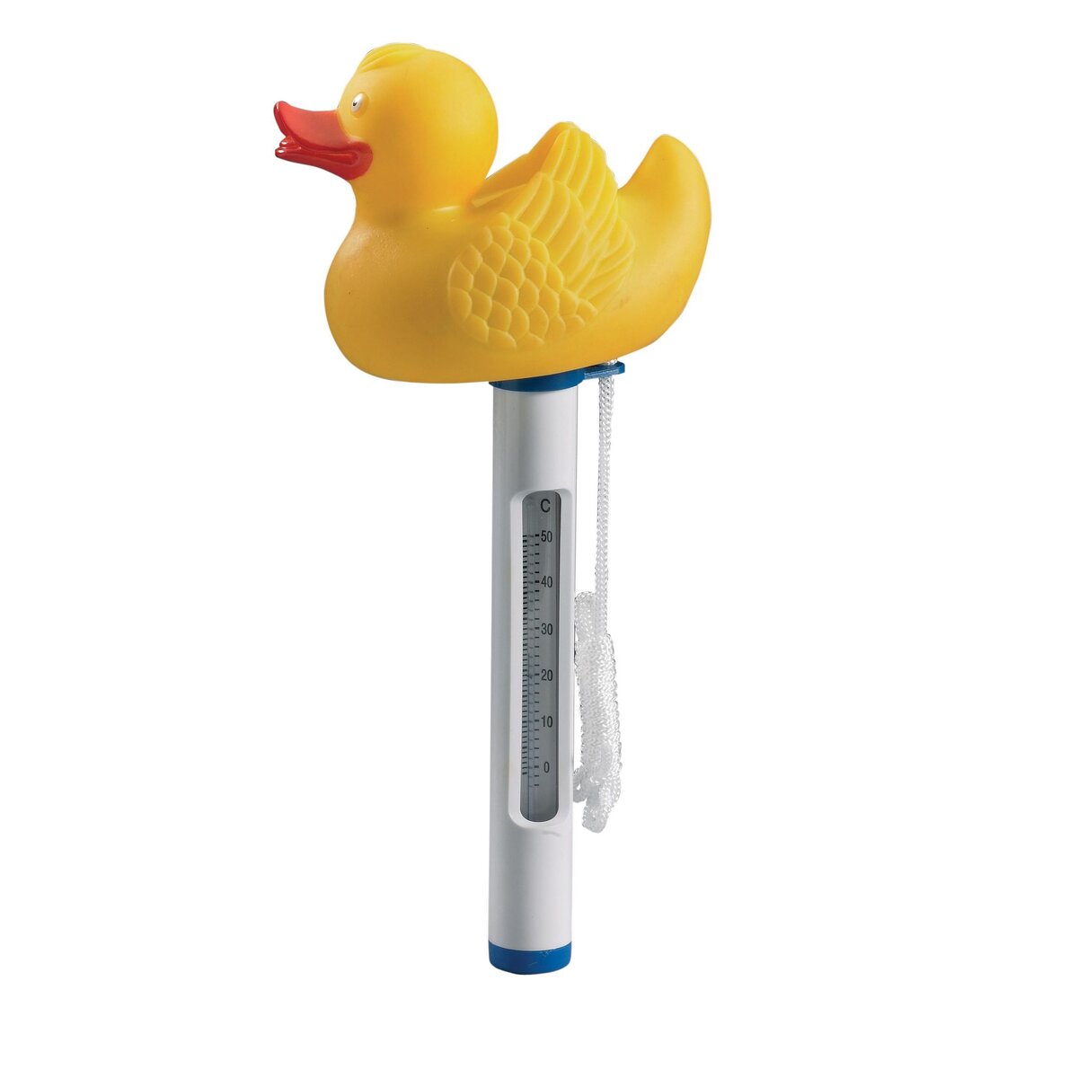 ASTRALPOOL Thermomètre piscine canard