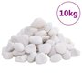 Voir la diapositive 1 : VIDAXL Galets polis 10 kg blanc 2 5 cm