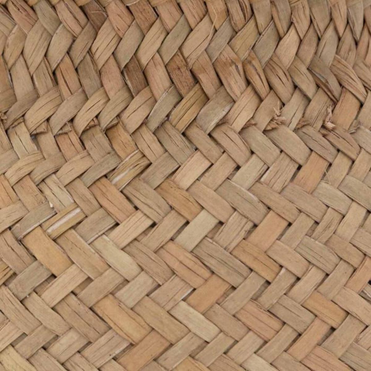 ATMOSPHERA Plante Artificielle en Pot  Jiling  20cm Beige