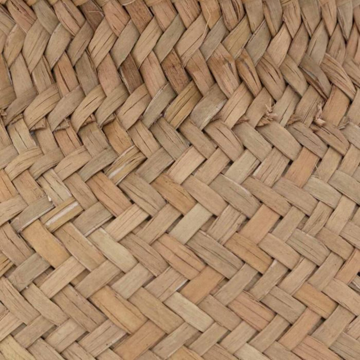 ATMOSPHERA Plante Artificielle en Pot  Jiling  20cm Beige