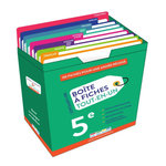 BOITE A FICHES TOUT-EN-UN 5E. 110 FICHES POUR UNE ANNEE REUSSIE, 2E EDITION, Lehu Philippe