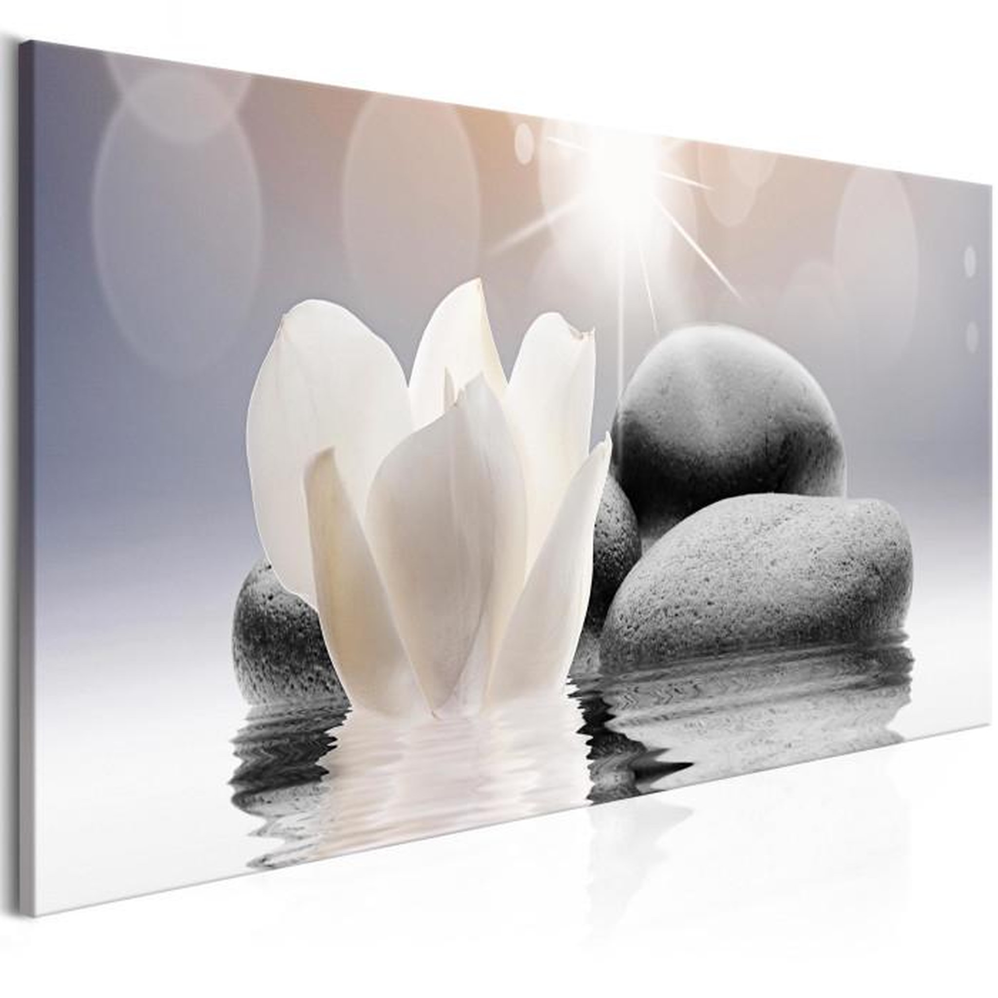 Paris Prix Tableau Imprimé  Pebbles in Water Narrow. Coloris disponibles : Multicolore