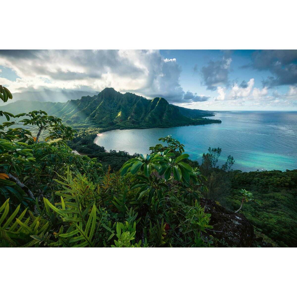 RAVENSBURGER Puzzle 5000 pièces : Vue sur Hawaï