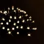 Paris Prix Guirlande Lumineuse Extérieur  80 LED  8m Blanc Chaud