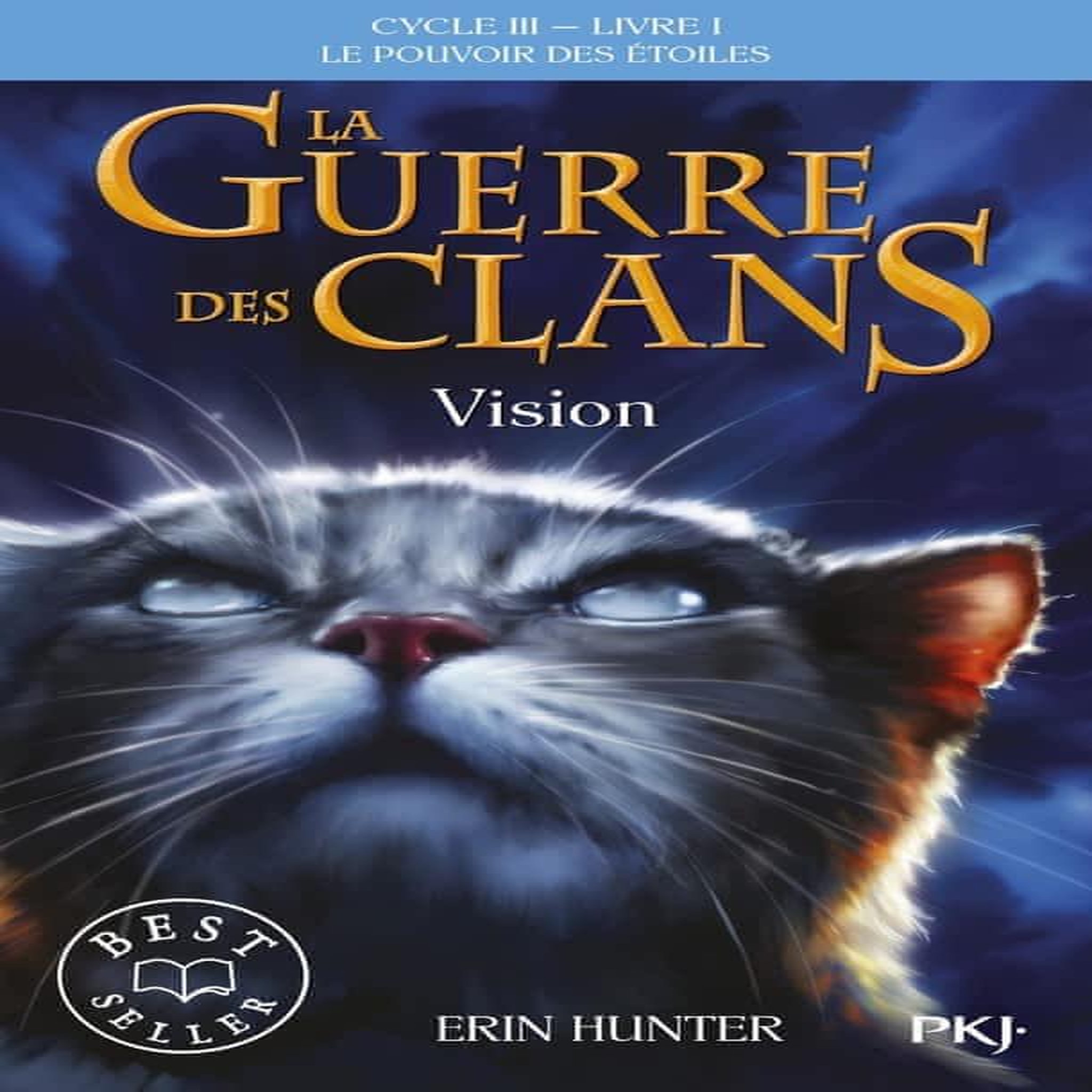 LA GUERRE DES CLANS : LE POUVOIR DES ETOILES (CYCLE III) TOME 1 : VISION, Hunter Erin