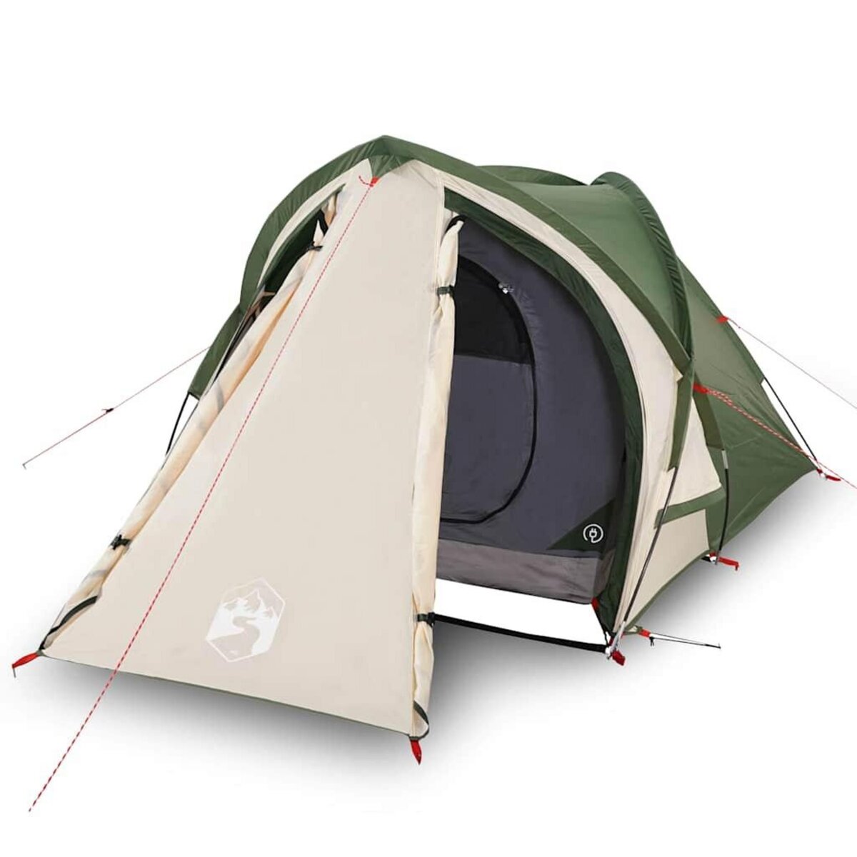 VIDAXL Tente de camping a dome 2 personne vert impermeable