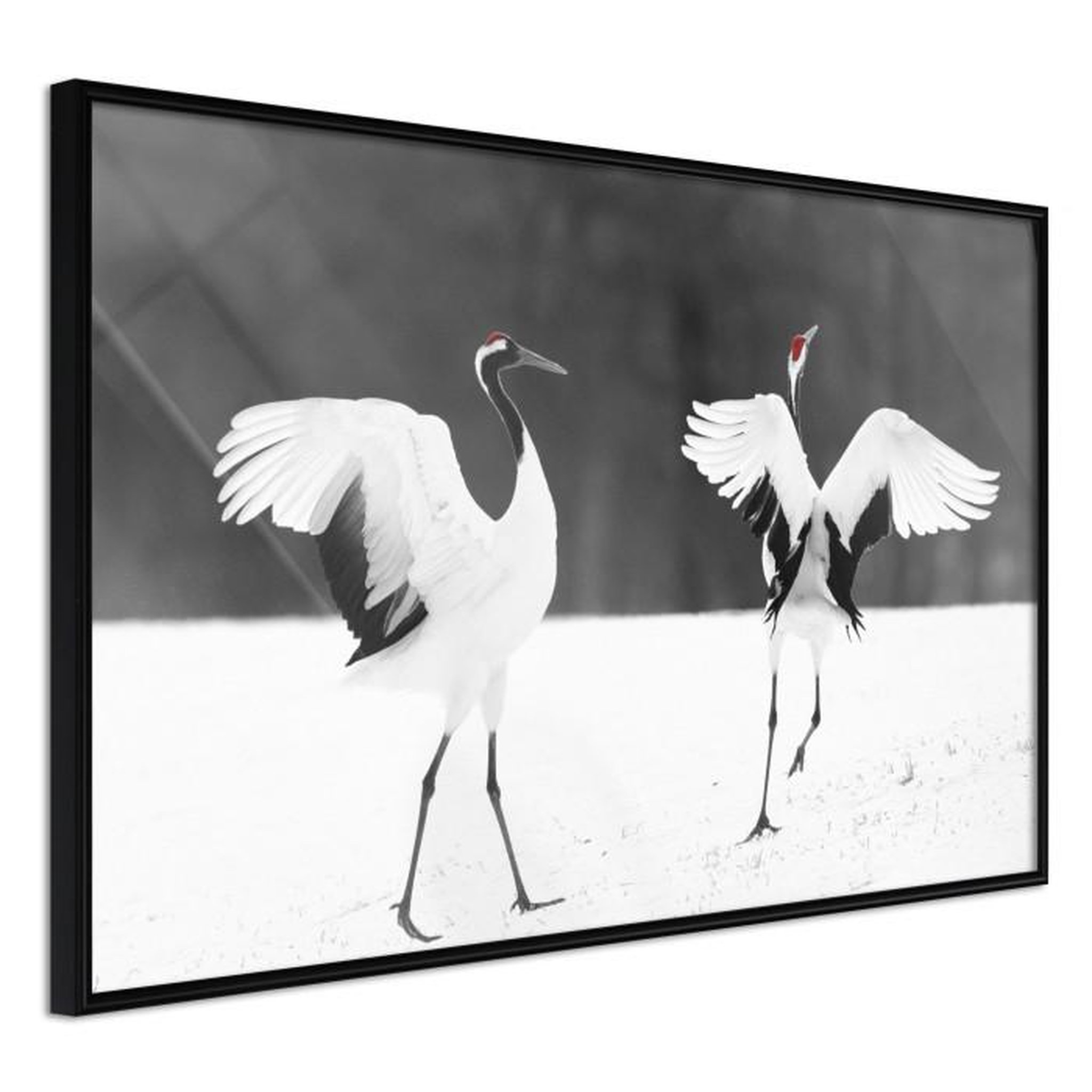 Paris Prix Affiche Murale Encadrée  Bird Date. Coloris disponibles : Noir, Jaune