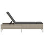 Voir la diapositive 5 : VIDAXL Chaise longue avec coussin gris clair resine tressee