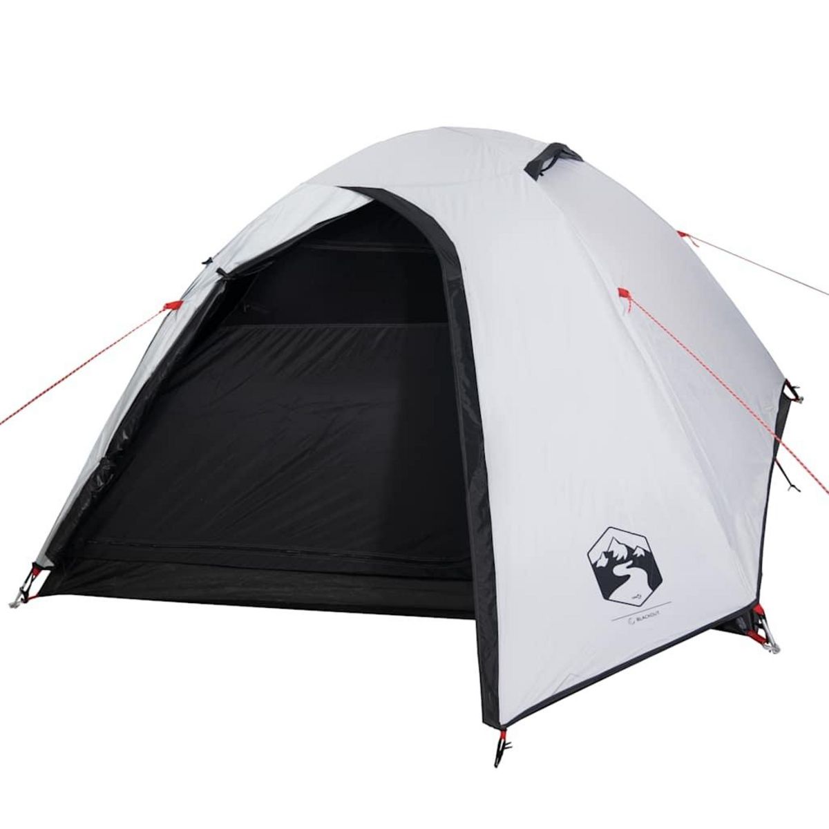 VIDAXL Tente de camping a dome 4 personnes tissu occultant impermeable