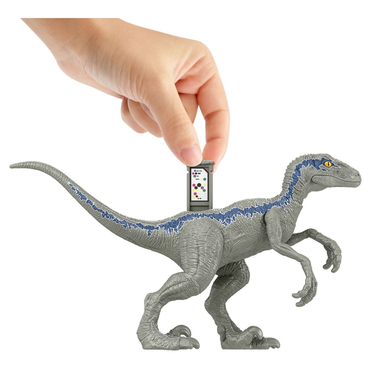 MATTEL Coffret Féroce Dino Vélociraptor BLUE Jurassic World