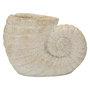 Voir la diapositive 1 : Paris Prix Vase Design Effet Sable  Shell  33cm Beige