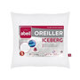 Voir la diapositive 1 : ABEIL ABEIL Lot de 2 Oreillers moelleux ICEBERG 60x60cm