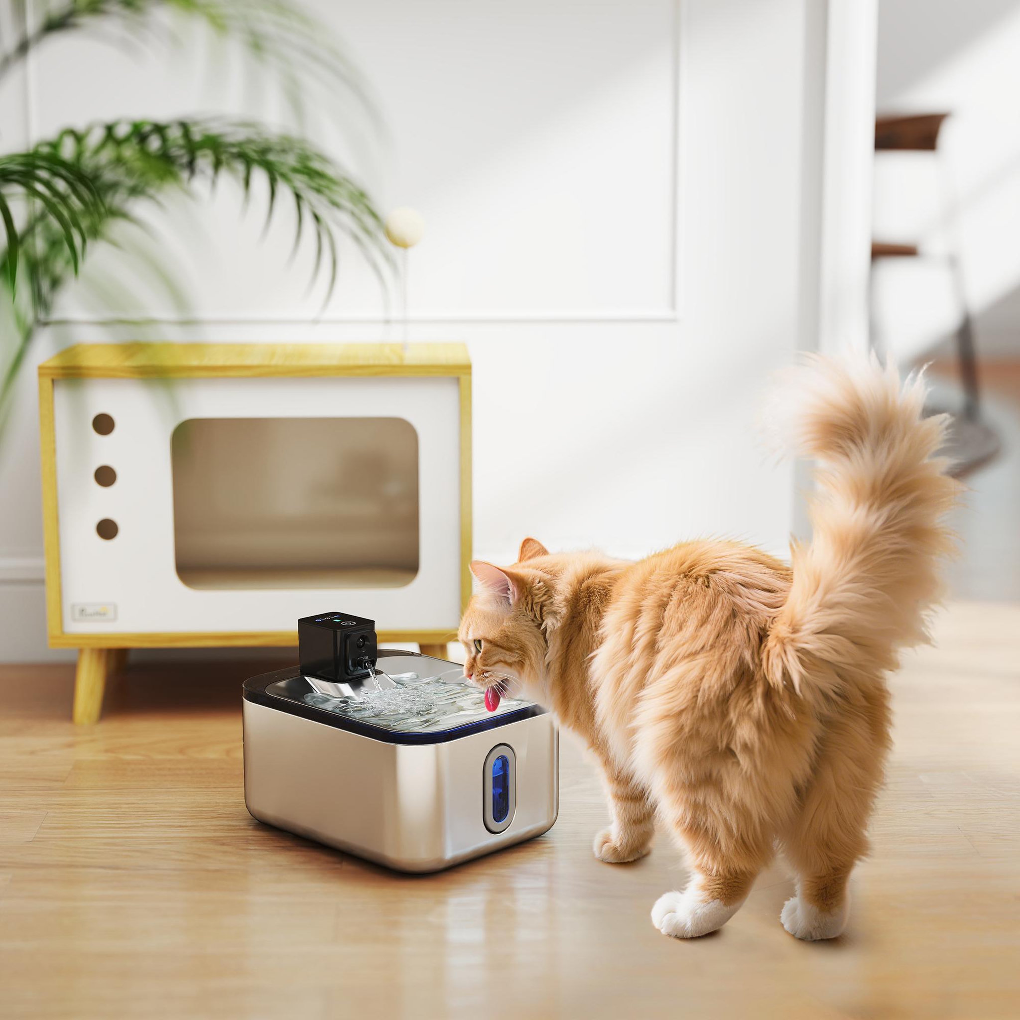Voir la diapositive 2 : PAWHUT Fontaine à eau pour chat 5L filtration 3 étapes charge USB câble + nombreux accessoires inclus acier inox