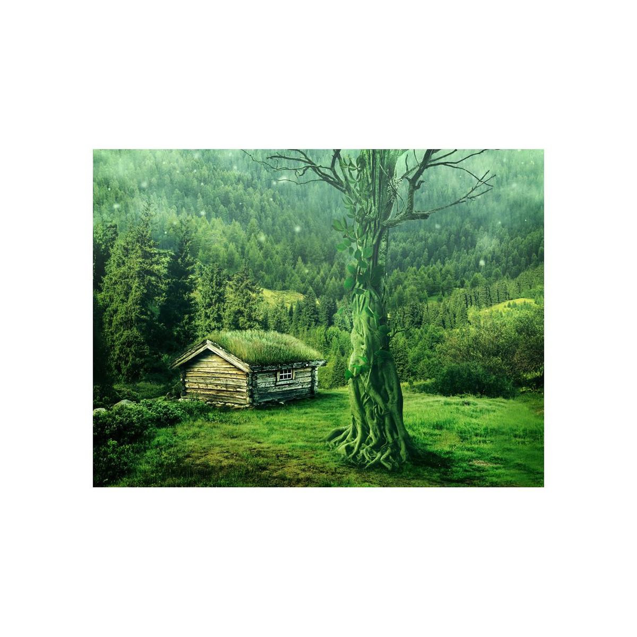 Voir la diapositive 2 : Paris Prix Papier peint  green seclusion