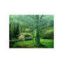 Voir la diapositive 2 : Paris Prix Papier Peint  Green Seclusion