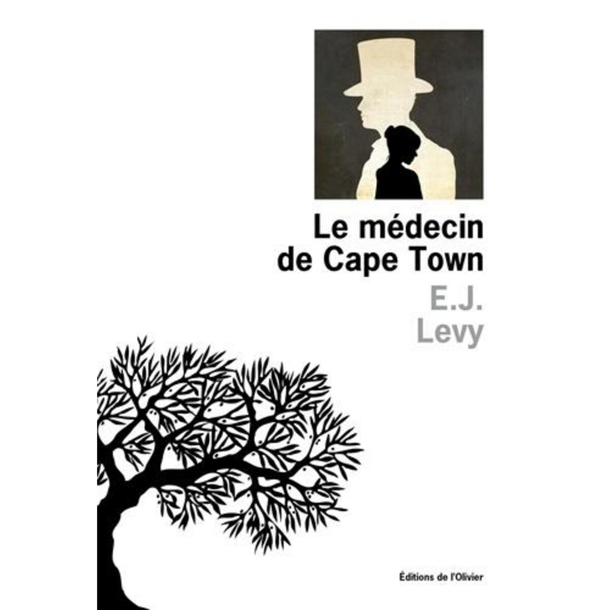 LE MEDECIN DE CAPE TOWN, Levy E-J