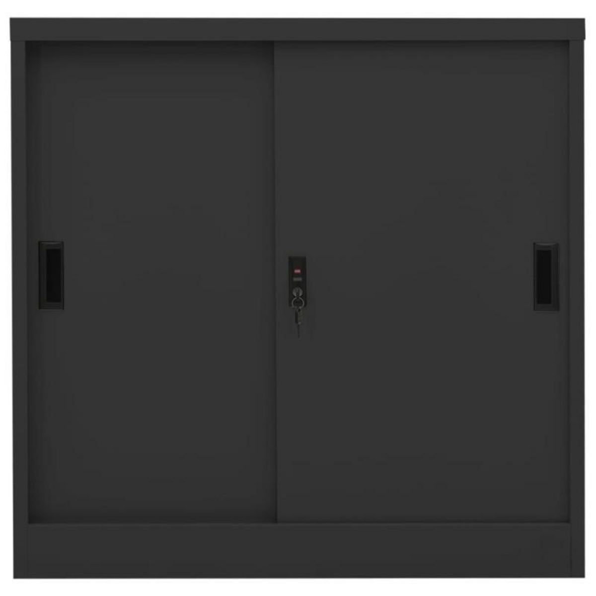VIDAXL Armoire à portes coulissantes avec jardinière Anthracite Acier