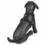 Voir la diapositive 2 : Paris Prix Harnais pour Chien  Essentiel  70cm Noir