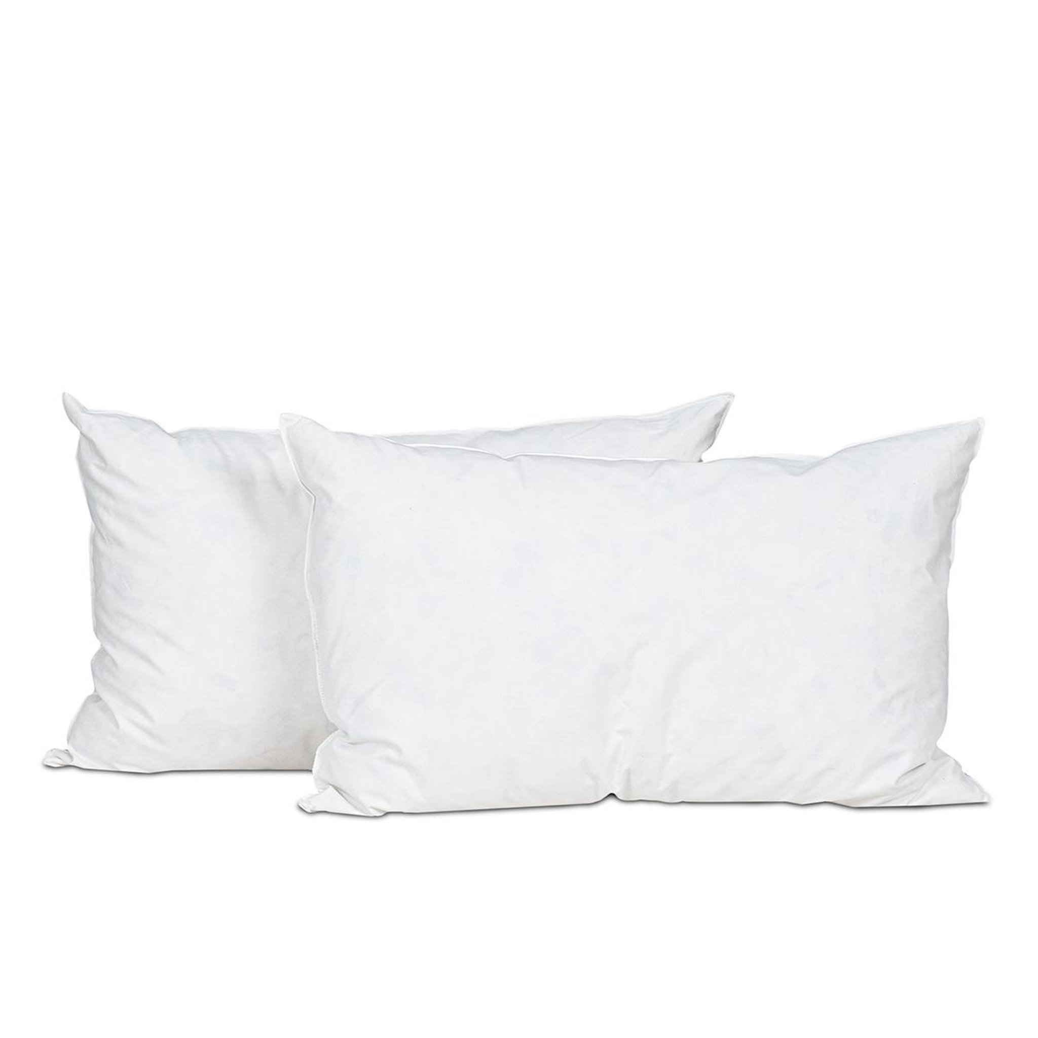 Voir la diapositive 1 : BELLECOUR Bellecour literie | lot de 4 oreillers chambord | duvet & plumes