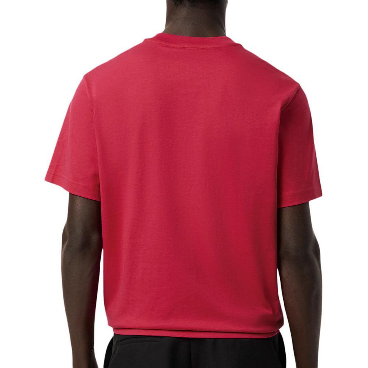 Lacoste T Shirt  Homme  acoste Essentiel