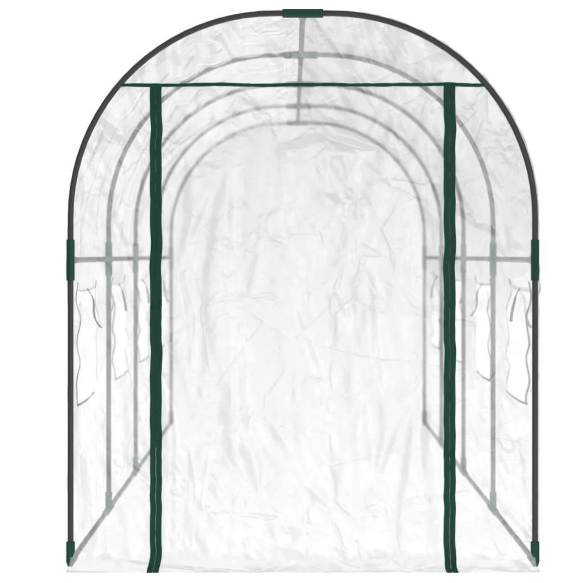 VIDAXL Serre Transparent 160x400x190 cm PVC et acier enduit de poudre