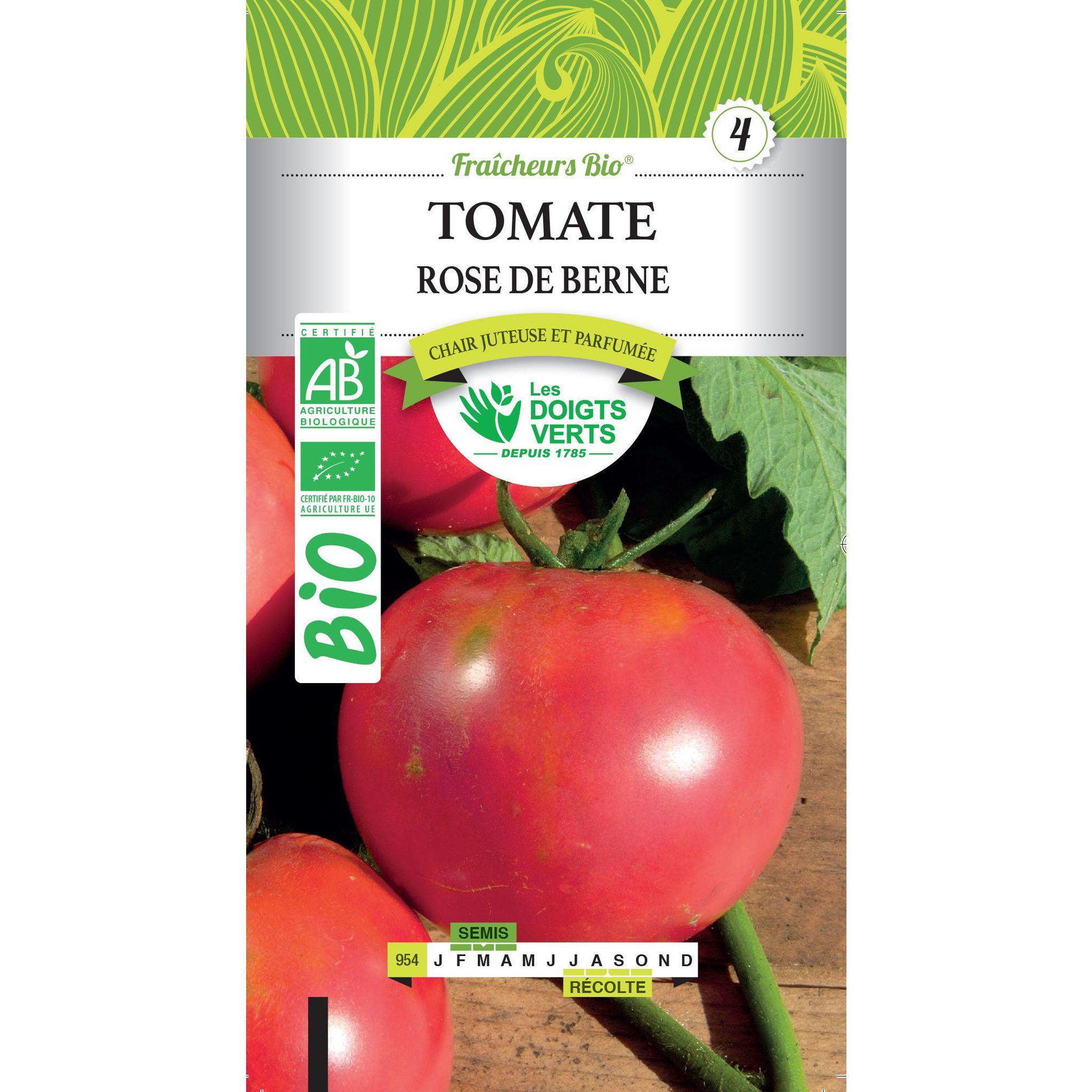 LES DOIGTS VERTS Graines tomate rose de Berne BIO Les Doigts Verts