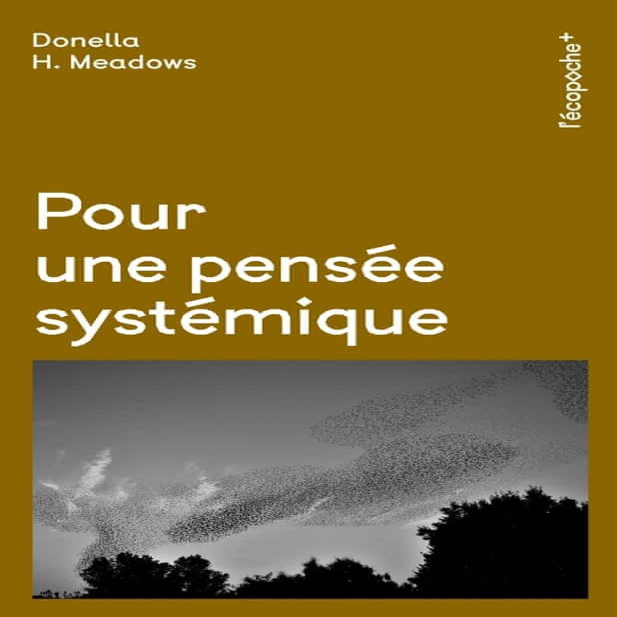 POUR UNE PENSEE SYSTEMIQUE, Meadows Donella