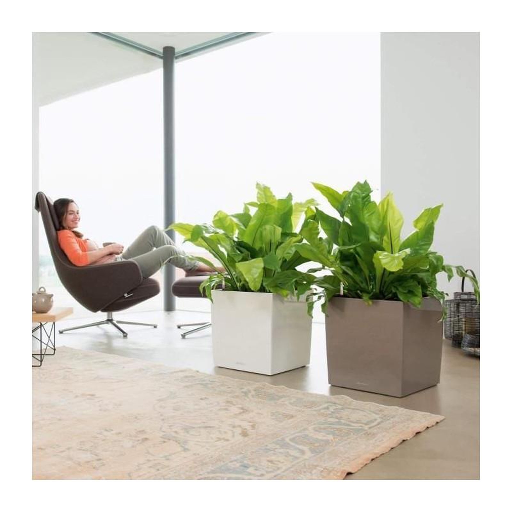 Voir la diapositive 4 : LECHUZA Cube Premium 40 - kit complet, noir brillant 40 cm