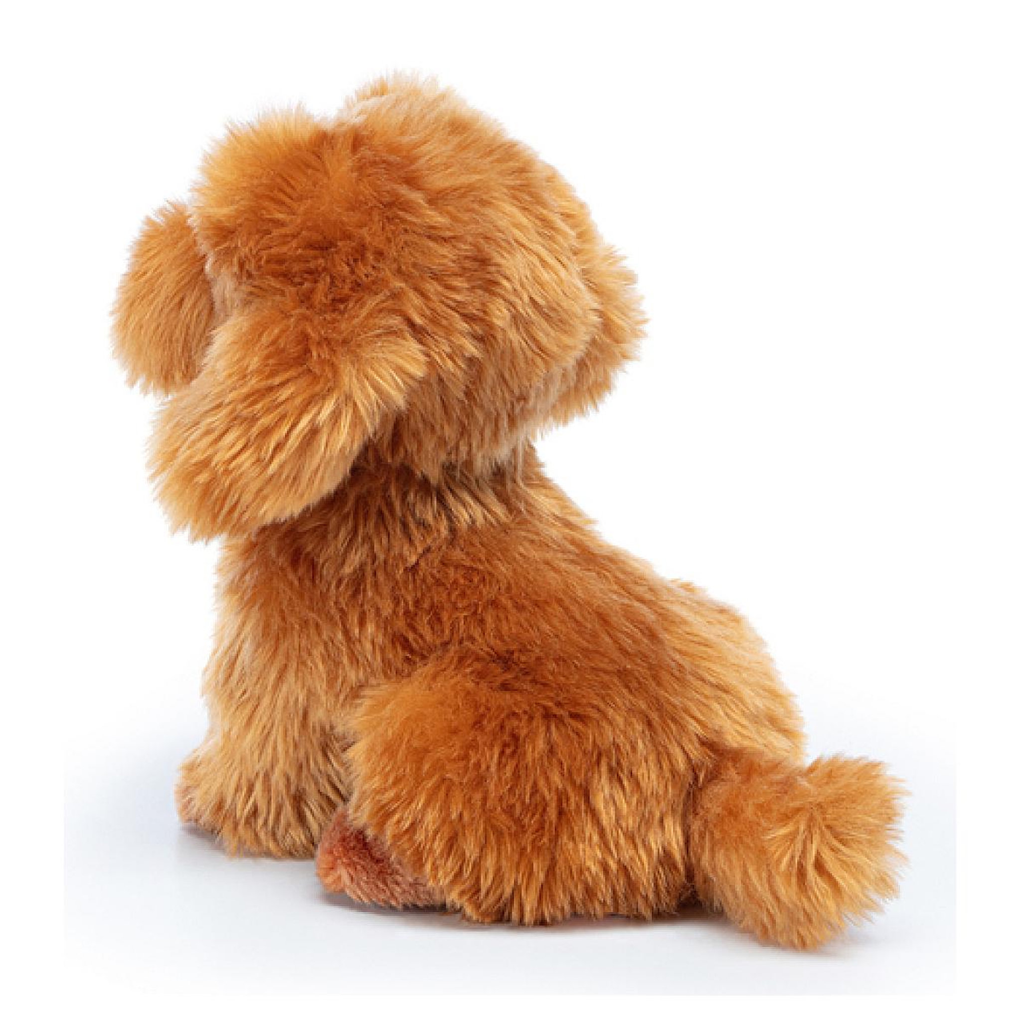 Voir la diapositive 3 : Trudi - Caniche Toy Oliver Assis