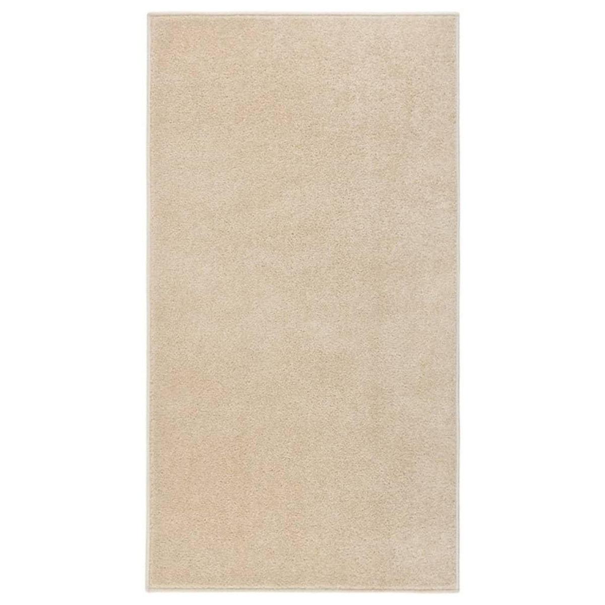 VIDAXL Tapis a poils courts 80x150 cm Beige