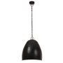 Voir la diapositive 3 : VIDAXL Lampe suspendue industrielle 25 W Noir Rond 42 cm E27