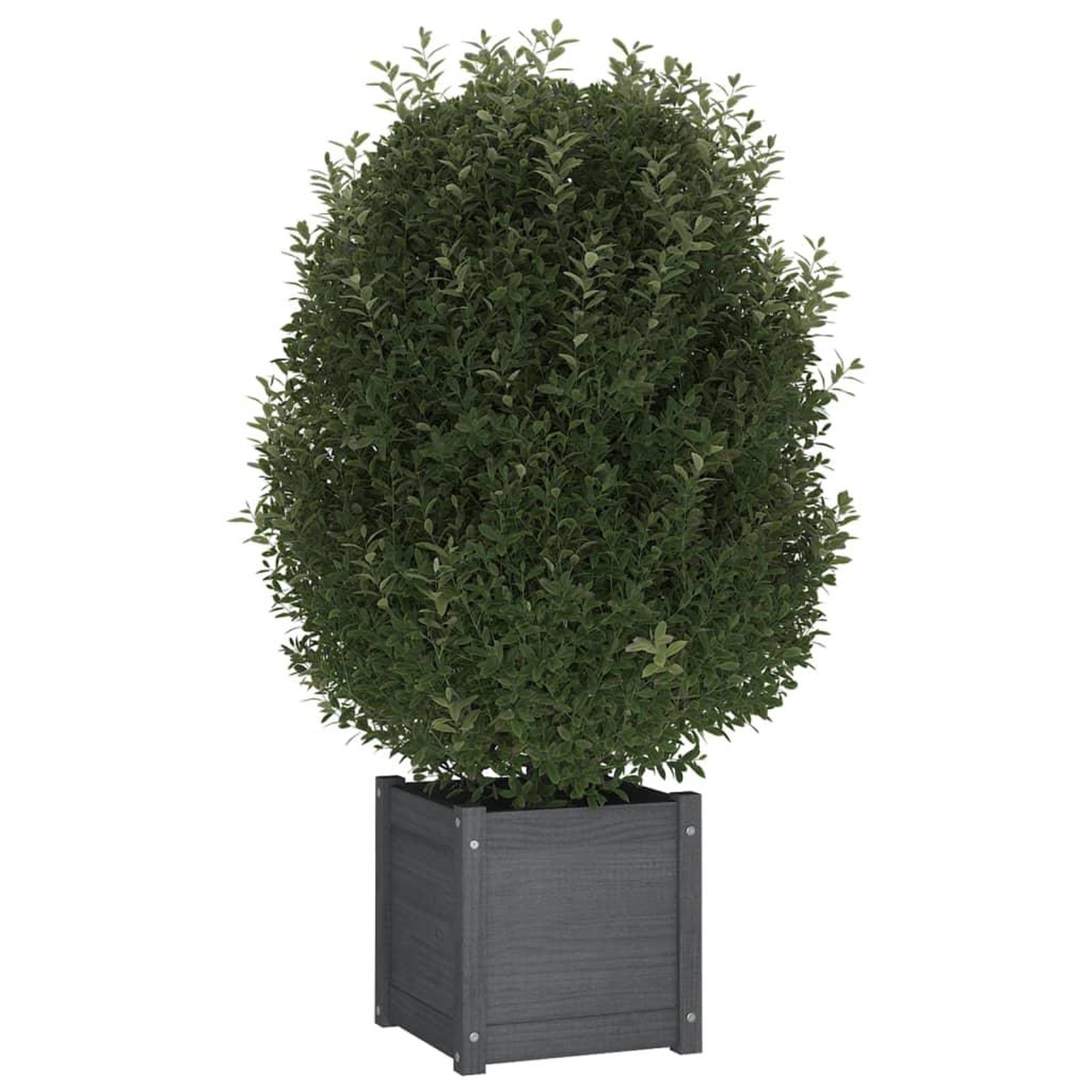 Voir la diapositive 3 : VIDAXL Jardiniere Gris 40x40x40 cm Bois de pin massif