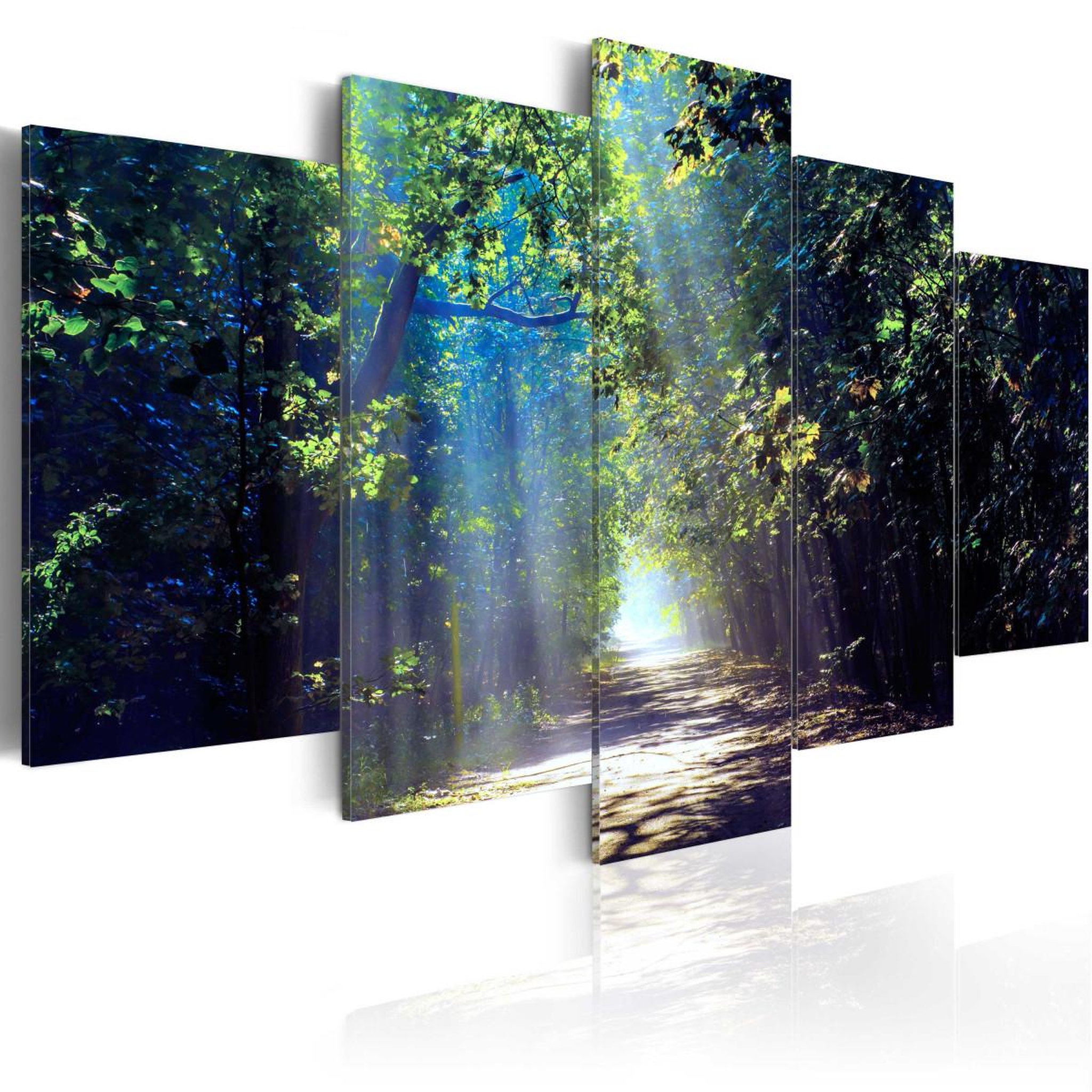 Voir la diapositive 1 : Paris Prix Tableau imprimé  sunny forest path