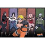 Poster Naruto & Alliés