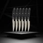 Voir la diapositive 4 : NIROSTA Lot de 6 couteaux à steak 22 cm Nirosta Fit