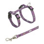 Voir la diapositive 1 : Trixie Junior harnais chaton avec laisse - TRIXIE - Motif chat - 21–33 cm / 8 mm - 1,20 m