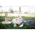 KERBL Kerbl Jouet d'apprentissage et de reflexion petits animaux 25x25x30 cm