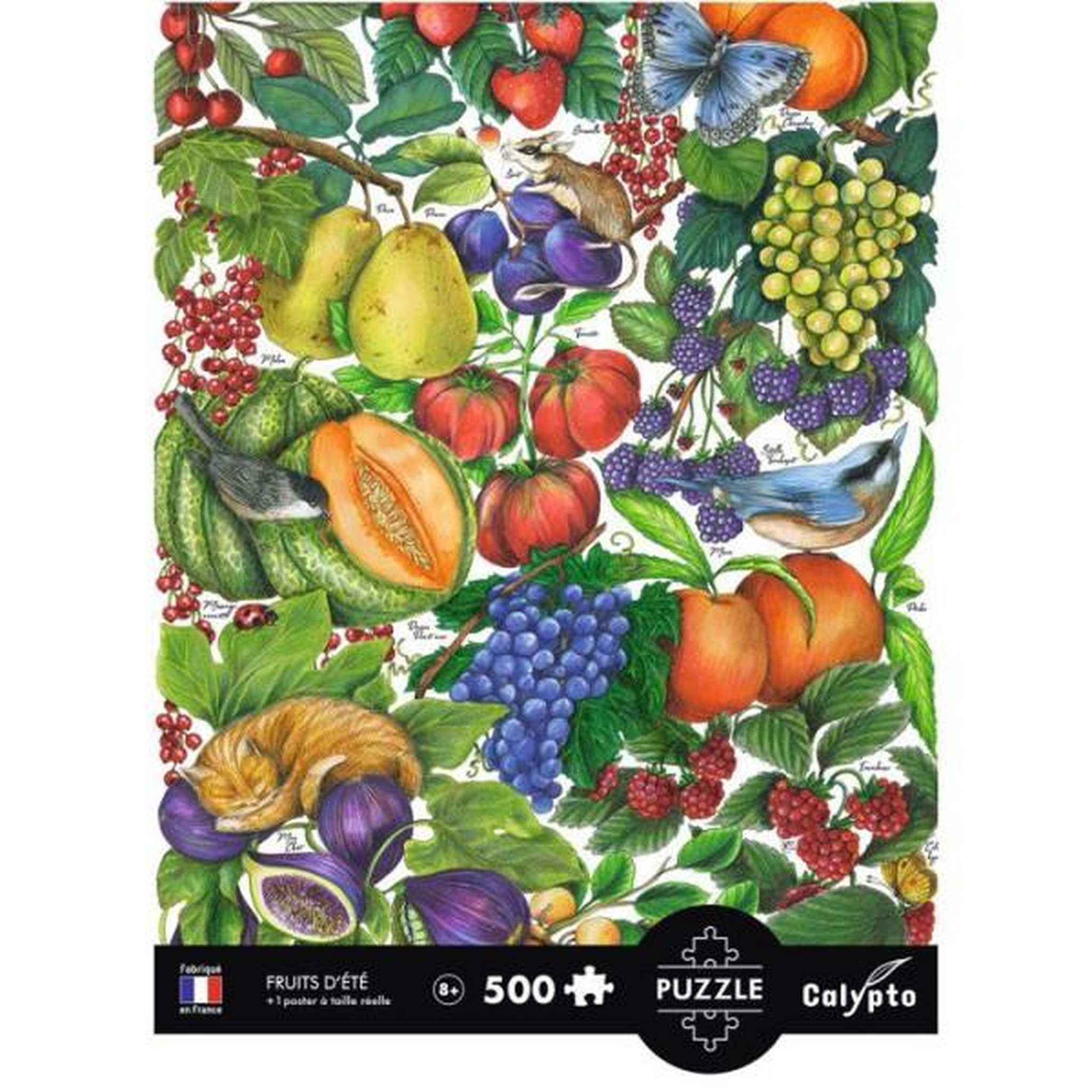 Voir la diapositive 3 : Sentosphere 500 p Les fruits d'ete Calypto
