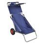 Voir la diapositive 2 : VIDAXL Chariot de plage avec roues portable et pliable Bleu