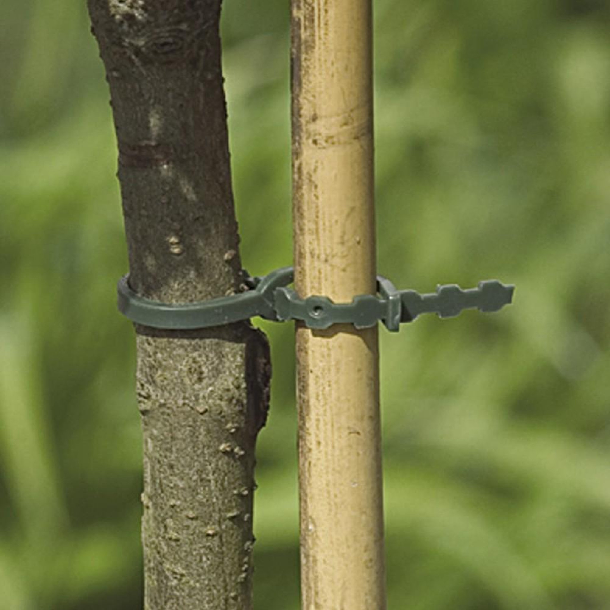 Nortene Lot de 20 liens pour arbres NORTENE, 0.37 m