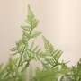 HOMCOM Plante artificielle aspect haute fougère H. 155 cm 28 feuilles denses réalistes pot inclus noir avec lichen vert