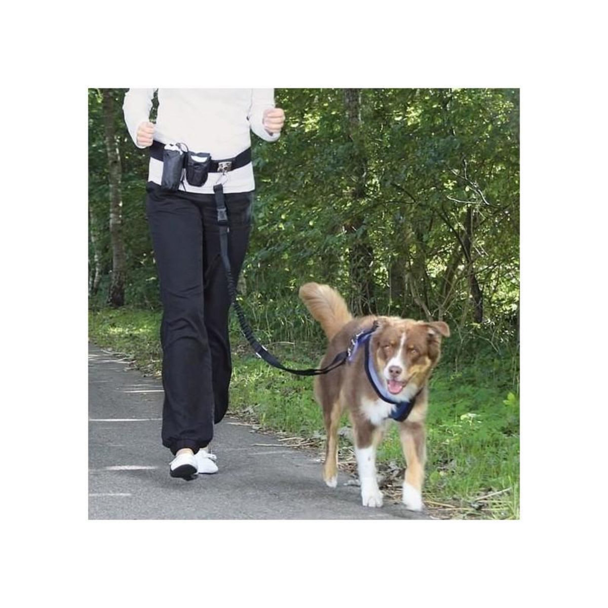 Trixie TRIXIE Ceinture ventrale avec laisse pour chien