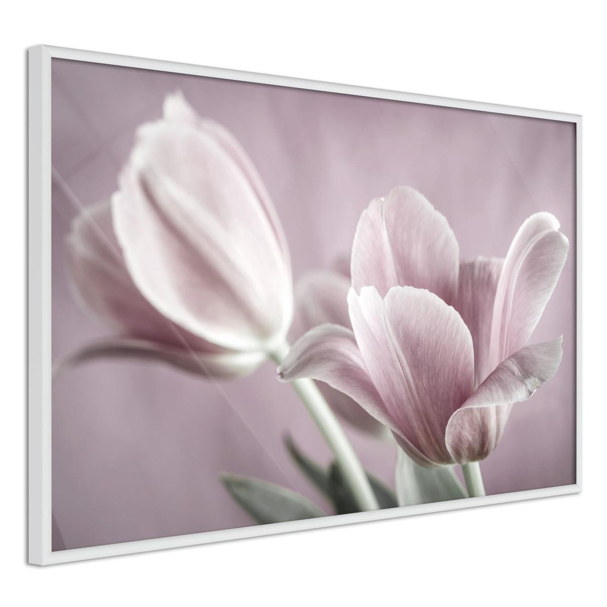 Paris Prix Affiche murale encadrée  pastel tulips i