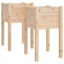 Voir la diapositive 2 : VIDAXL Jardinieres d'exterieur 2 pcs 40x40x70 cm bois de pin massif