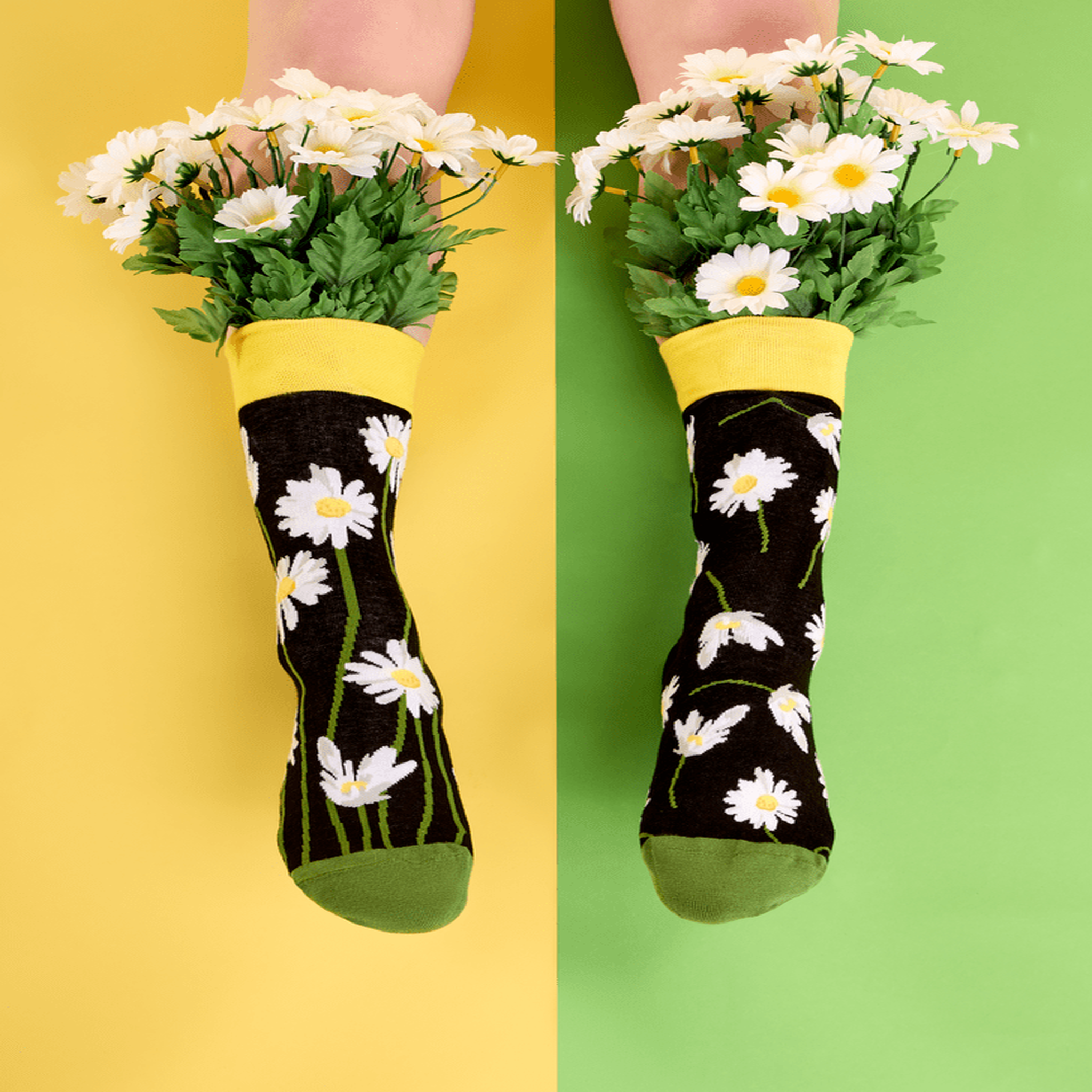 Voir la diapositive 5 : DEDOLES Chaussettes marguerites dans la nuit