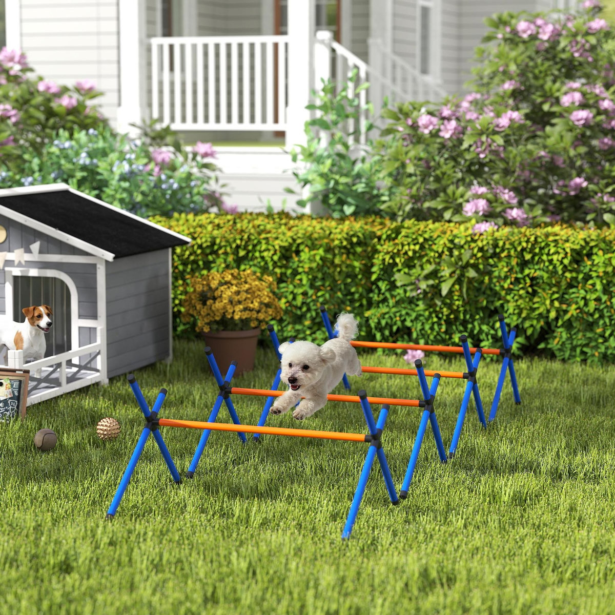 PAWHUT Kit d'agilité chien hauteur réglable sac transport inclus