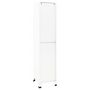 Voir la diapositive 5 : VIDAXL Armoire a casiers Blanc 38x45x180 cm Acier
