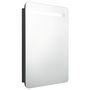 Voir la diapositive 2 : VIDAXL Armoire de salle de bain a miroir LED noir 60x11x80 cm