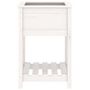 Voir la diapositive 5 : VIDAXL Jardiniere avec etagere Blanc 54x54x81 cm Bois massif de pin